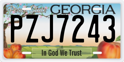 GA license plate PZJ7243