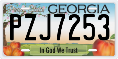GA license plate PZJ7253