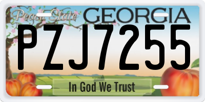 GA license plate PZJ7255