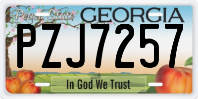 GA license plate PZJ7257
