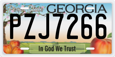 GA license plate PZJ7266
