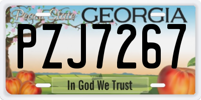 GA license plate PZJ7267