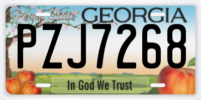 GA license plate PZJ7268