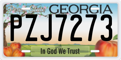 GA license plate PZJ7273