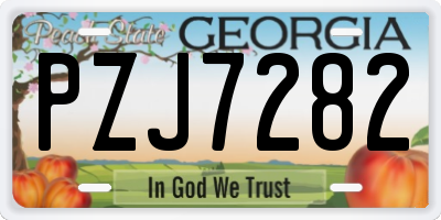GA license plate PZJ7282