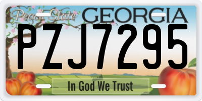 GA license plate PZJ7295