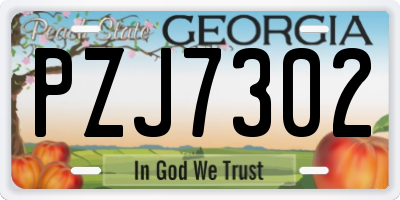 GA license plate PZJ7302
