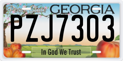 GA license plate PZJ7303