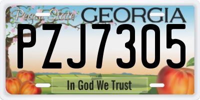 GA license plate PZJ7305