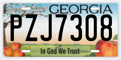 GA license plate PZJ7308
