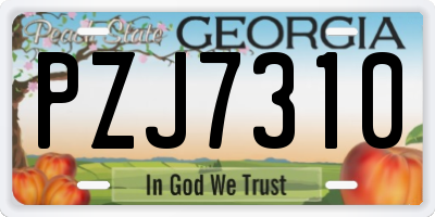 GA license plate PZJ7310
