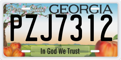 GA license plate PZJ7312