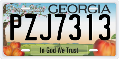 GA license plate PZJ7313