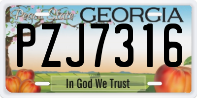 GA license plate PZJ7316
