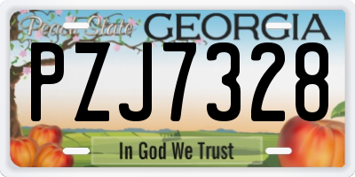 GA license plate PZJ7328