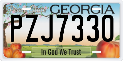GA license plate PZJ7330