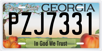 GA license plate PZJ7331