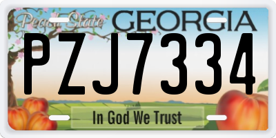 GA license plate PZJ7334