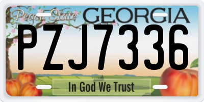 GA license plate PZJ7336