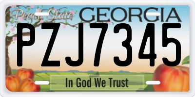GA license plate PZJ7345