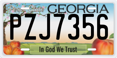 GA license plate PZJ7356