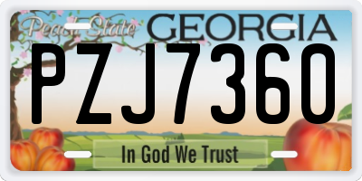 GA license plate PZJ7360