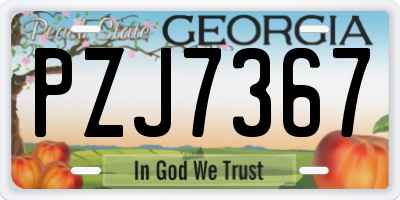 GA license plate PZJ7367