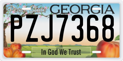 GA license plate PZJ7368