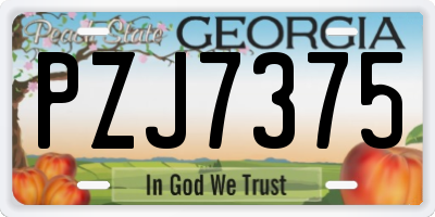 GA license plate PZJ7375