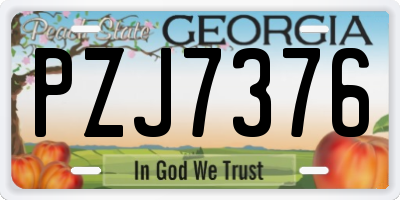 GA license plate PZJ7376