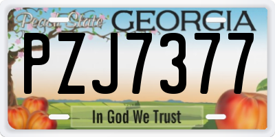 GA license plate PZJ7377