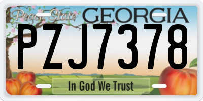 GA license plate PZJ7378