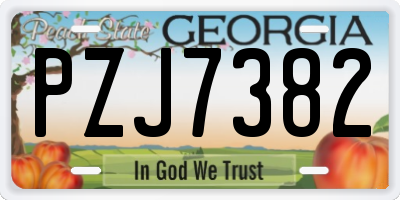 GA license plate PZJ7382