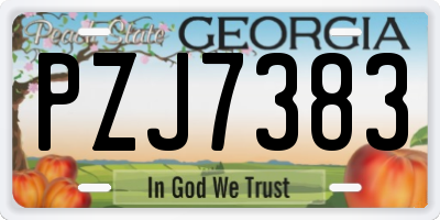 GA license plate PZJ7383