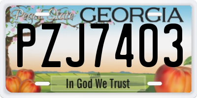GA license plate PZJ7403