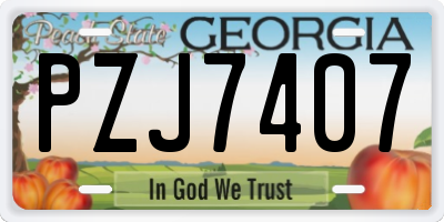 GA license plate PZJ7407