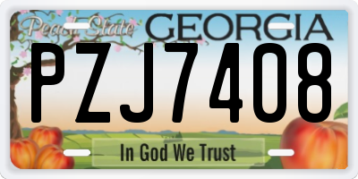 GA license plate PZJ7408