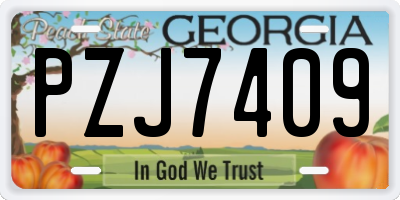 GA license plate PZJ7409