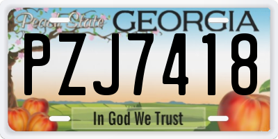 GA license plate PZJ7418
