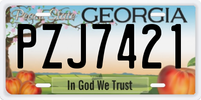 GA license plate PZJ7421