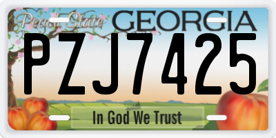 GA license plate PZJ7425
