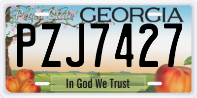 GA license plate PZJ7427