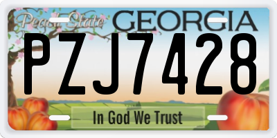 GA license plate PZJ7428