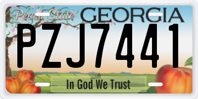 GA license plate PZJ7441