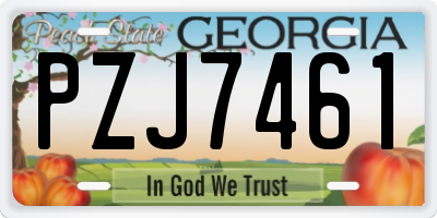 GA license plate PZJ7461