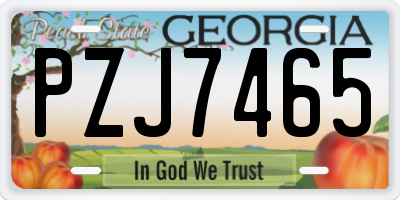 GA license plate PZJ7465