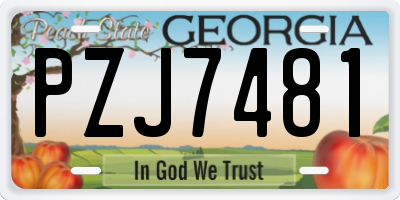 GA license plate PZJ7481
