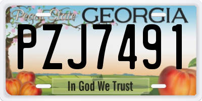 GA license plate PZJ7491