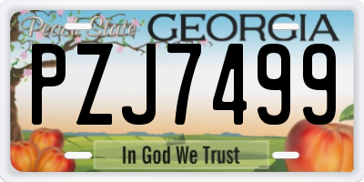 GA license plate PZJ7499