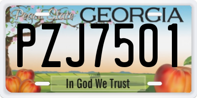 GA license plate PZJ7501